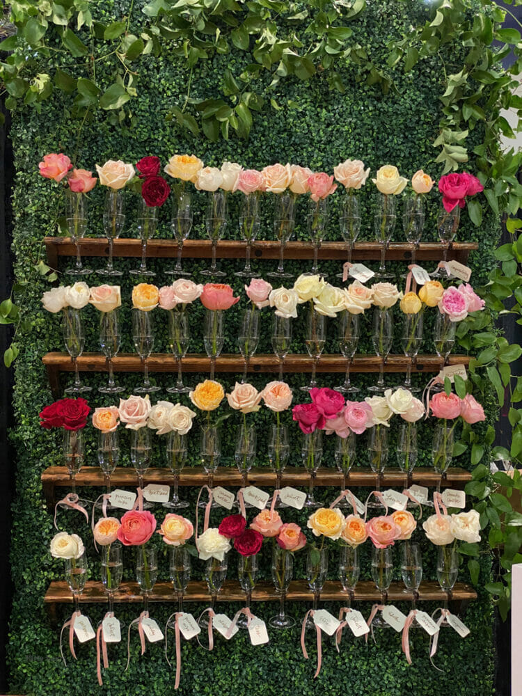 Garden Roses Direct Wedding MBA120 - Champagne Wall featuring garden roses